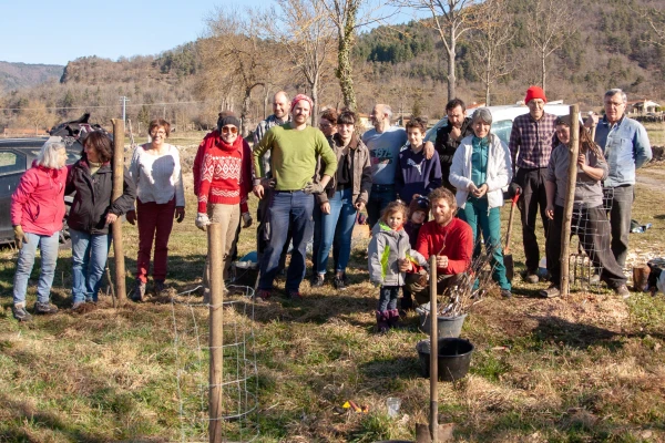 Des bénévoles plantent des arbres