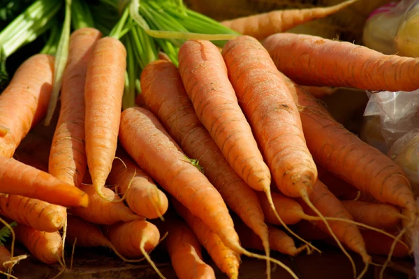 Une botte de carottes